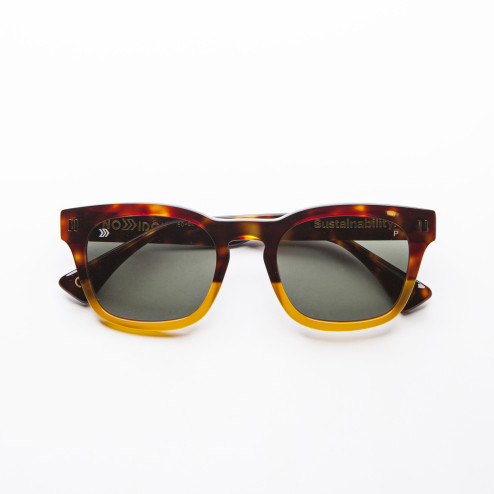 DAMON HAV. ORANGE - DAMO15